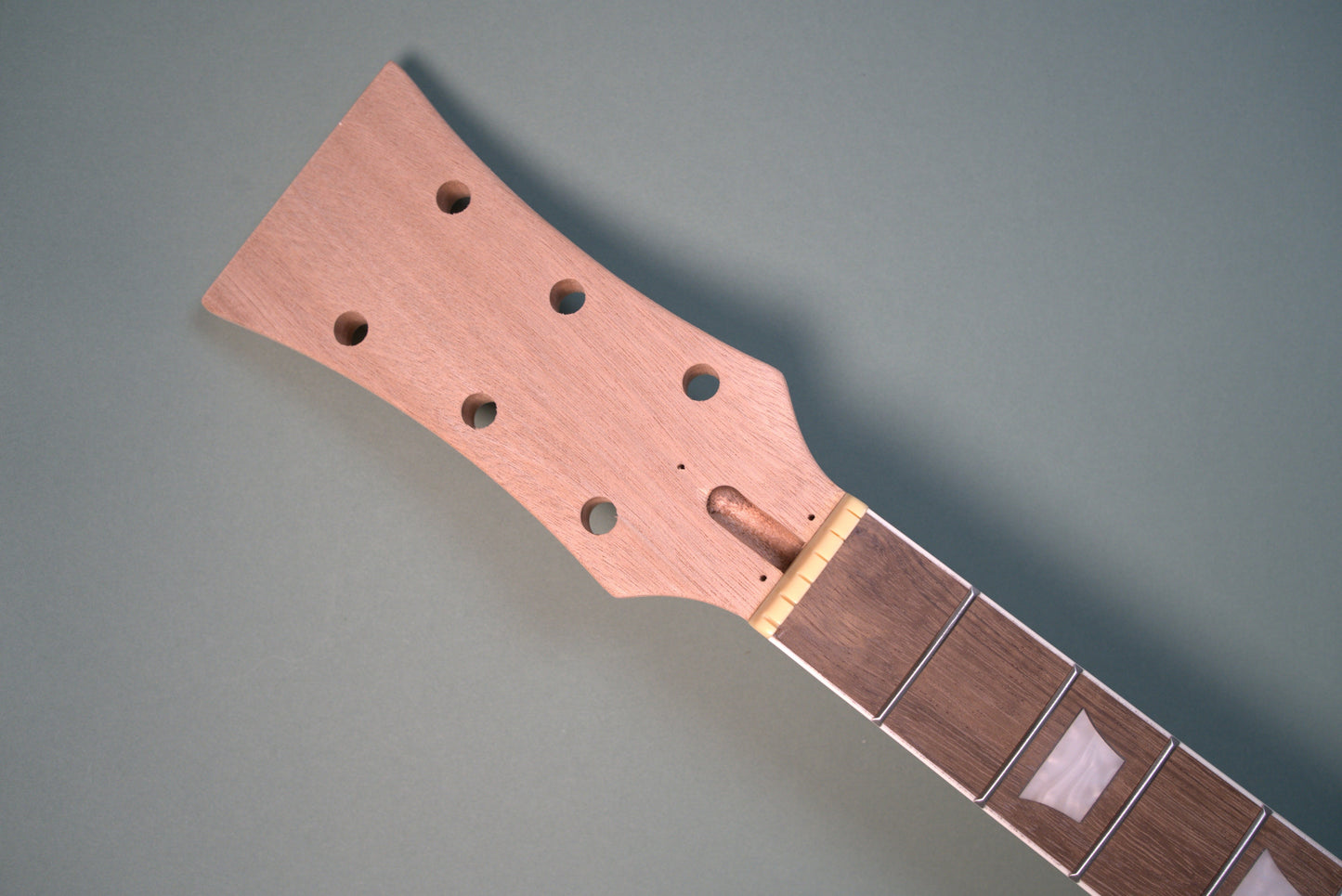 Les Paul DIY Guitar kit