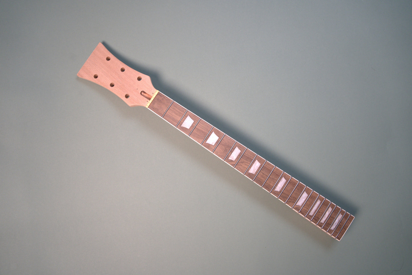 Les Paul DIY Guitar kit